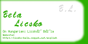 bela licsko business card